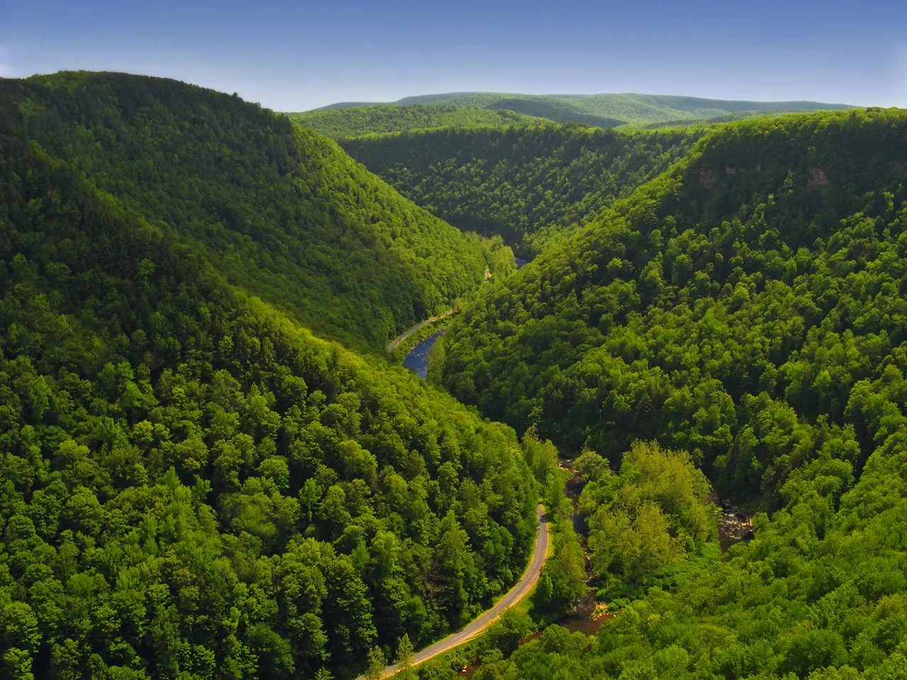 Pine Creek Gorge in summer, seen from the West Rim Trail